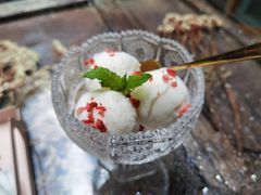 鲜果冰淇淋-喵屿·大理花园猫咖
