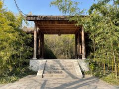 -苏州上方山国家森林公园