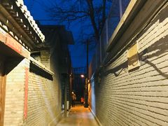 -玫瑰红烤羊排(北新桥三条店)