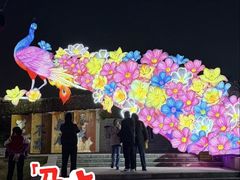 -武汉园博园(武汉自然博物馆)