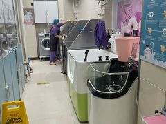 -北京观赏动物医院·24小时大型综合·猫专科·异宠专科