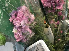 -盒马鲜生(领丰汇店)