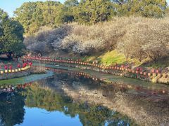 -韩湘水博园