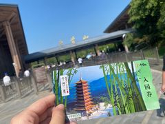 -牛首山文化旅游区