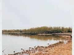 -西青郊野公园