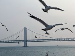 -星海广场