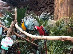 -杭州开元森泊度假乐园