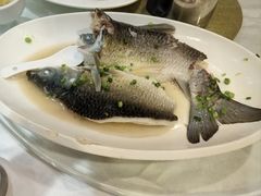 盐油蒸鲩鱼-凤城酒家(环市西路店)