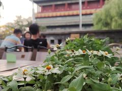 -苦尽酒馆·川菜(鼓楼店)