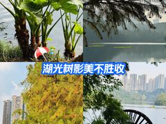 -重庆彩云湖湿地公园
