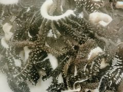 -马记伊源斋涮肉·清真菜(潘家园古玩市场店)