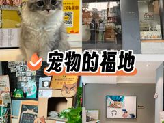 -御宝贝·A梦猫科宠物医院(国际猫友好医院)