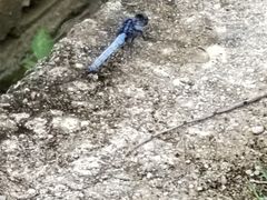 -白石龙音乐公园