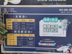 -海合安武汉极地海洋公园