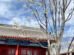 -西海子公园
