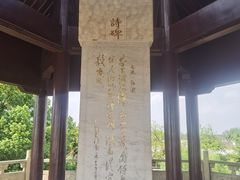 -观潮胜地公园