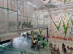 -绿壁虎攀岩基地(Tcar店)