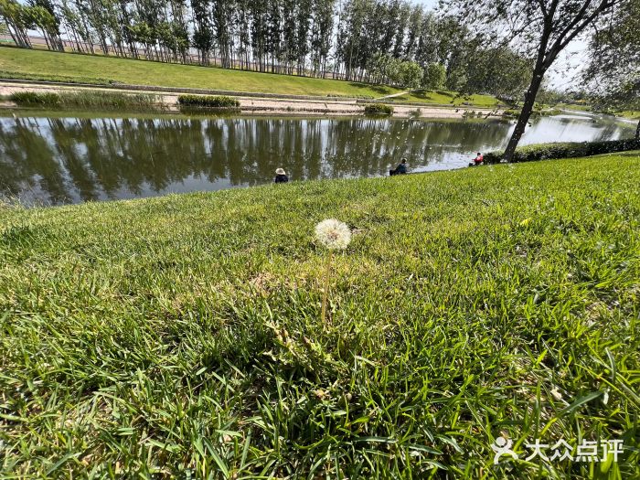 坝河休闲公园图片