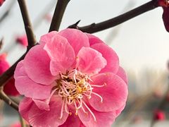 -上方山森林动物世界