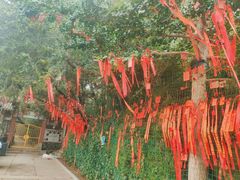 -泰山风景名胜区