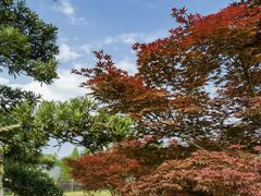 -铁山坪森林公园