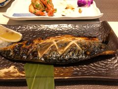 烧烤青花鱼-割烹酱子日本料理(弘基财富广场店)