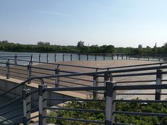 -大兴滨河森林公园