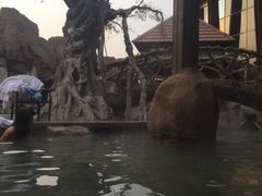 -裕龙汤泉