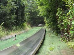 -富斯特索道