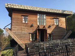 -金山农民画村-枫泾波兰倒置屋