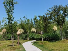 -上海长兴岛郊野公园