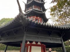 -上海佘山国家森林公园西佘山园