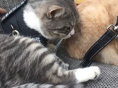 -黎黄陂路街头博物馆