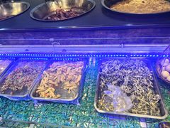 -靠山屯东北农家菜(八龙桥雅苑店)