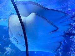 -太平洋海底世界