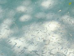 -碧水湾温泉