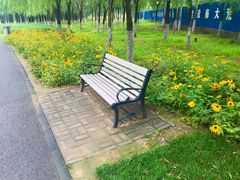 -永定河休闲森林公园