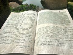 -白马涧龙池景区