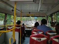 -BUS TOUR观光巴士