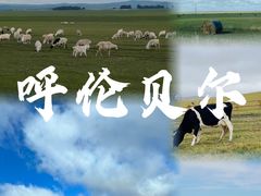 -呼伦贝尔大草原