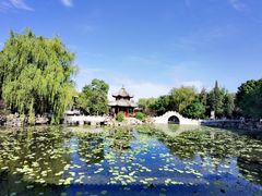 -莲池书院博物馆