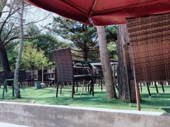 -尚庄度假村·庭台树下·户外烧烤·团建CS·轰趴营地(上庄水库店)