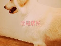 -尤加利咖啡馆