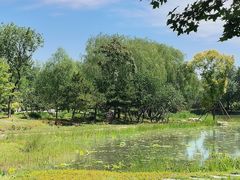 -永定河休闲森林公园