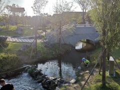 -王借岗森林公园