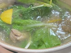 -蘑统田下·野生菌火锅