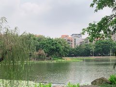 -映月湖公园