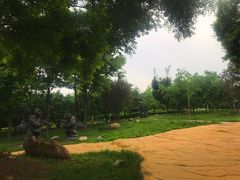 -府君山公园