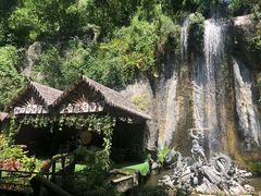 -西双版纳原始森林公园