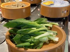 -龍歌自助小火锅(市南金茂湾店)